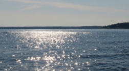 sun sparkling on water
