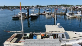 fleet of lobster boats at the coop